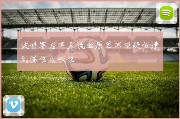 波特赛后耳朵流血原因不明疑似遭到抓伤或咬伤