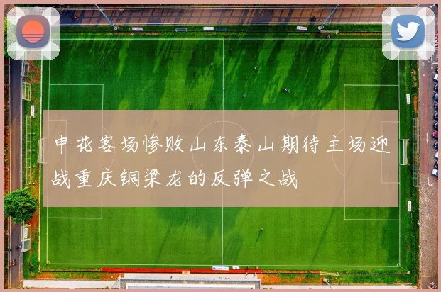 申花客场惨败山东泰山期待主场迎战重庆铜梁龙的反弹之战